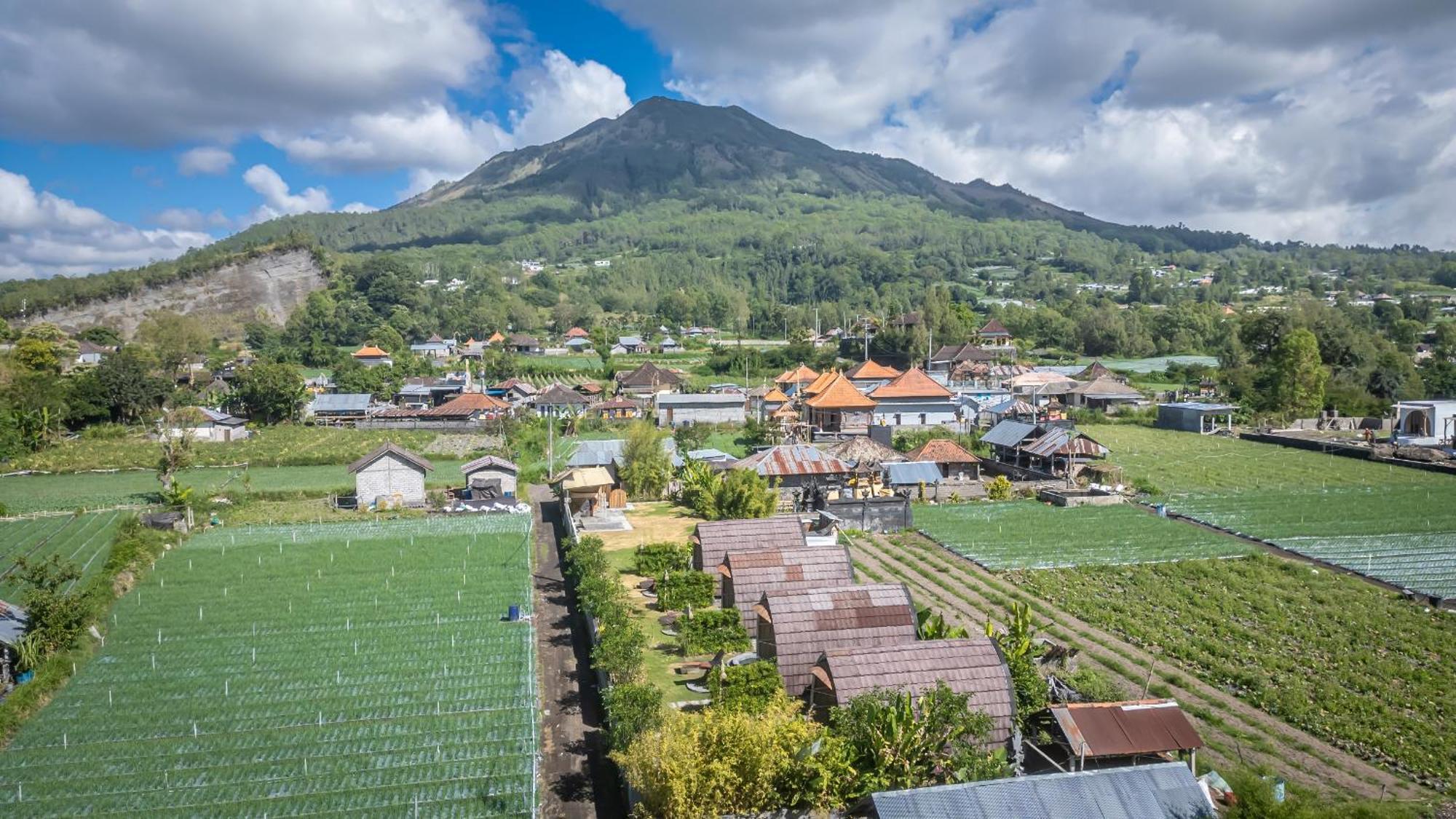 Tegal Bamboo Cottages & Private Hot Spring Baturaja  Ngoại thất bức ảnh