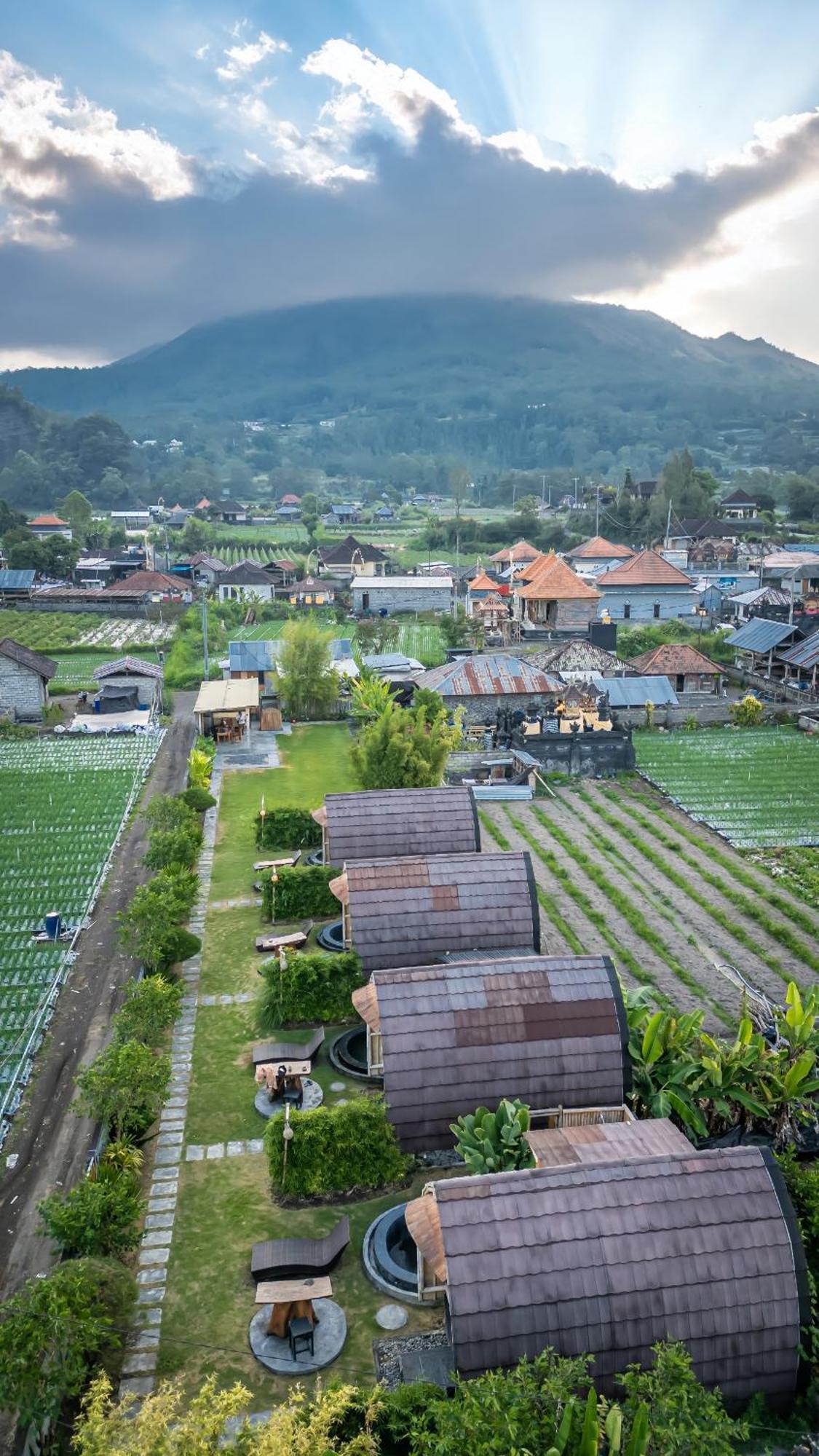 Tegal Bamboo Cottages & Private Hot Spring Baturaja  Ngoại thất bức ảnh